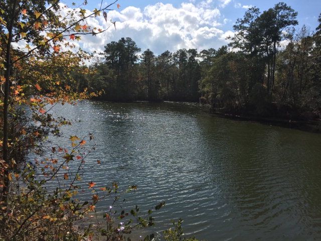 431 Us Hwy 431, Eufaula, AL 36027